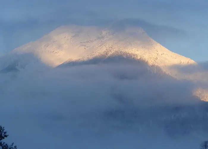 Alpen-chalet Апартаменты Эрвальд