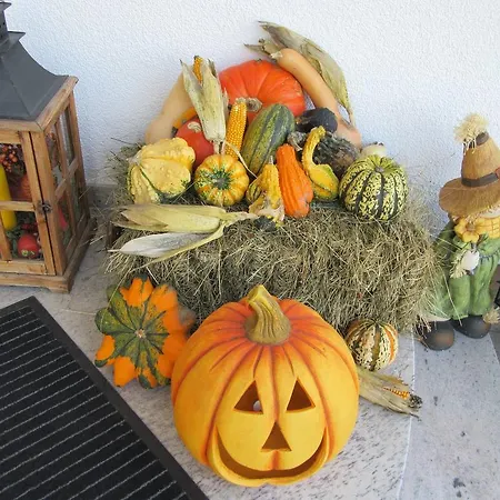 Appartement Alpen-chalet Ehrwald