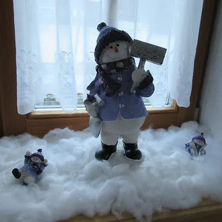 Alpen-chalet Appartement